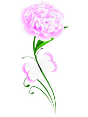 Pink peony with leaf and butterfly on a white background.