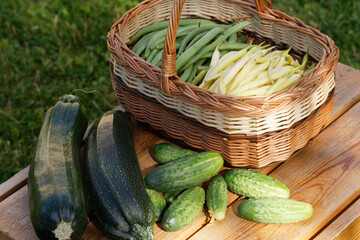 Raw green food. Healthy vegetarian food concept, fresh green food selection for detox diet