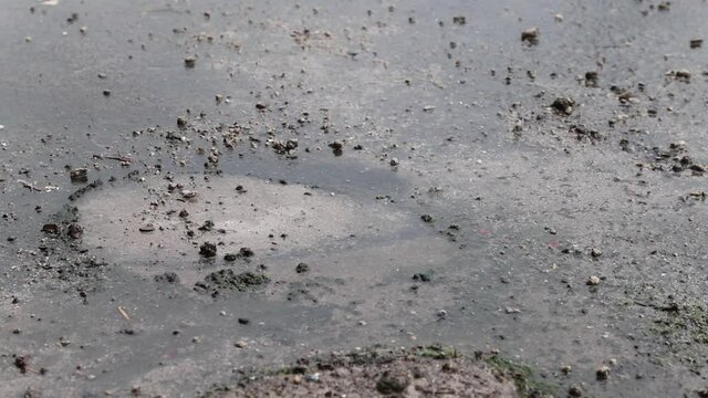 rain drops on water pond in concrete surface with ripples in rainy day