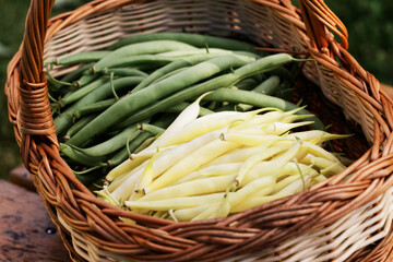 Raw green food. Healthy vegetarian food concept, fresh green food selection for detox diet