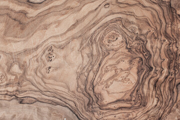 Fototapeta na wymiar olive Tree wood texture