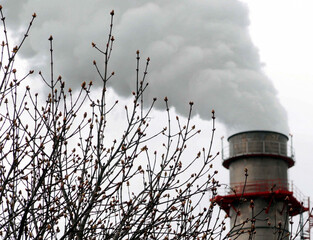 pollutant emissions in the industry