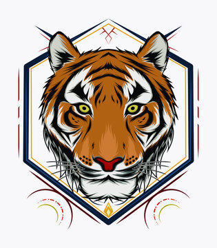 Tiger head illustration. design tiger. design for T shirt , mascot, logo team, sport, metal printing, wall art, sticker