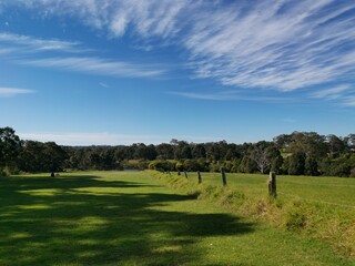 Beautiful afternoon view of a park with green grass, tall trees, deep blue sky with light clouds, Fagan park, Galston, Sydney, New South Wales, Australia