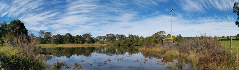 Beautiful afternoon panoramic view of a peaceful pond in a park with reflections of deep blue sky, light clouds and trees on water, Fagan park, Galston, Sydney, New South Wales, Australia