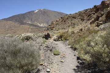Teide