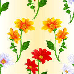 Seamless texture Dahlia red white yellow silhouette summer flowers stems various colors for spring season as graphic elements and decorations festive background vector illustration vector