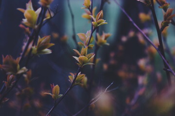 Processed with VSCO with f2 preset