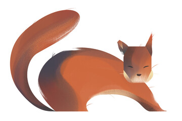 Red Squirrel