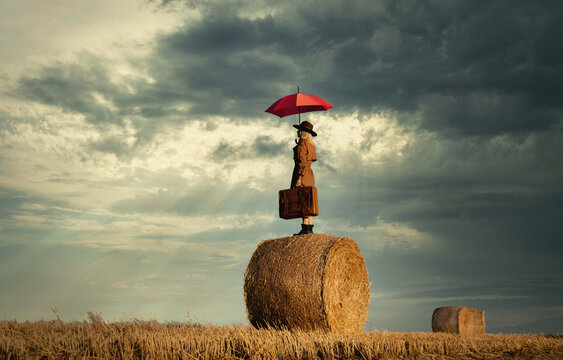 blonde girl with suitcase and umbrella is staying on a rolled haystack in field in sunset time