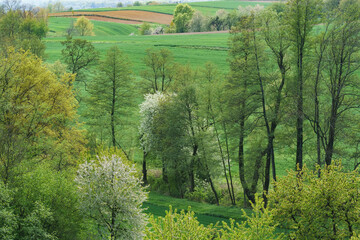 Opolskie krajobrazy 2 - obrazy, fototapety, plakaty