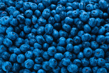 Fresh blueberry background.