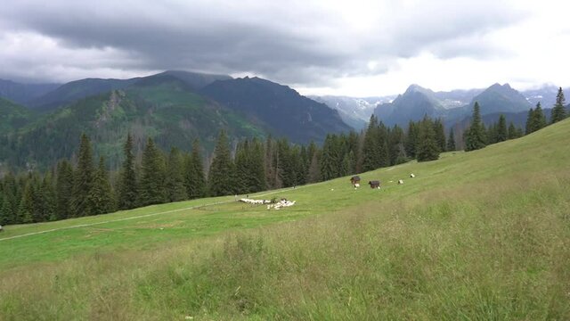 Tatry Wysokie, widok z Rusinowej Polanyy