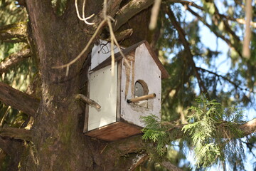 Artificial house for birds on tree in nainital uttarakhand
