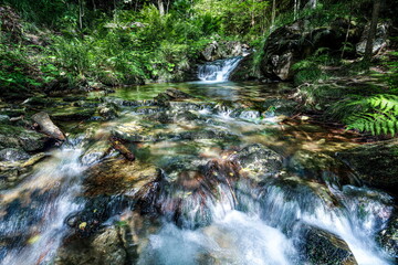Fototapeta premium Water cascades in green mossy forest, Jeseniky