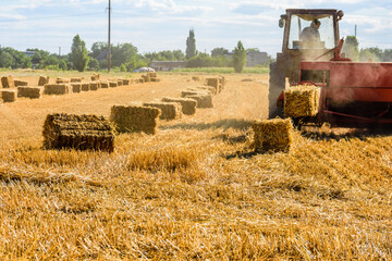 Harvester makes bales of straw at the agricultural field. Agricultural concept