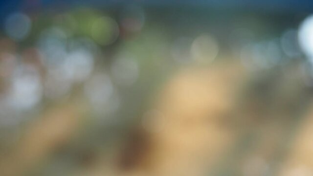 green earth tone colour abstract blurred lights in water bokeh background