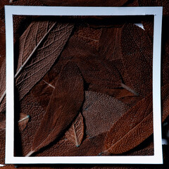brown tinted leaves frame / abstract, unusual tinted vintage leaves