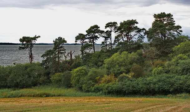 Loddiner H&ouml;ft, Insel Usedom