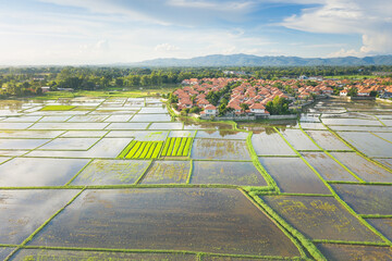Land, landscape of field in aerial view. Plot of land on earth for agriculture farm, farmland or plantation. Rural area with nature at countryside in Chiang mai of Thailand. Real estate or property.