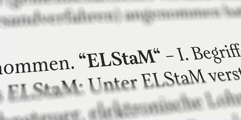 ELStaM im Buch