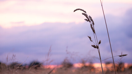 Abendspaziergang