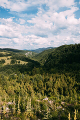 View of a beautiful landscape of Zlatibor mountain range in Serbia