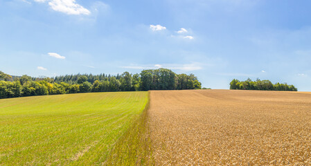 Tuscany like meadows in the Hunsrück near the Geierlay suspension bridge