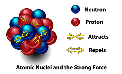 Strong force in the nucleus of an atom . This science diagram shows the force that repels and attracts neutrons and protons. This type of interaction binds together nuclei.