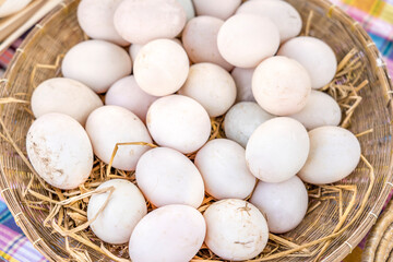 Duck egg on straw. 
Four fresh free range duck eggs in a nest of hay.