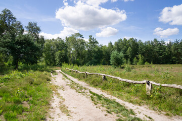 Fototapeta na wymiar Weg durch das Naturschutzgebiet Venner Moor, Senden, Münsterland, Nordrhein-Westfalen, Deutschland, Europa