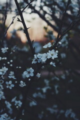 Processed with VSCO with f2 preset