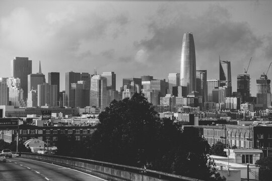 Fototapeta san francisco skyline