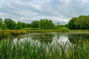 In Plothen, when the sun says goodbye, it is not just a sunset, it is a theatrical performance in the sky! Imagine the sun, like a diva