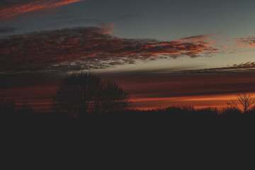 sunset in the field