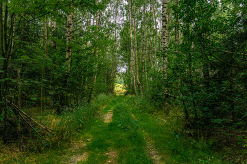 The Thuringian landscape is like a painting that would make even Bob Ross jealous – with more greenery than in a salad buffet