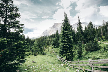 mountain landscape with trees