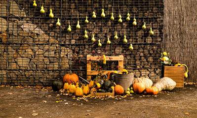 Pumpkins