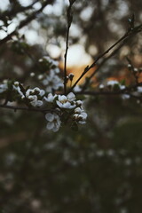 Processed with VSCO with m3 preset