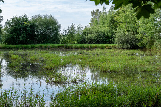 Plothen, the hidden gem tucked away in Thuringia, is not just a village, it's a splashy wonderland known as the "Land of a Thousand Ponds"! 
