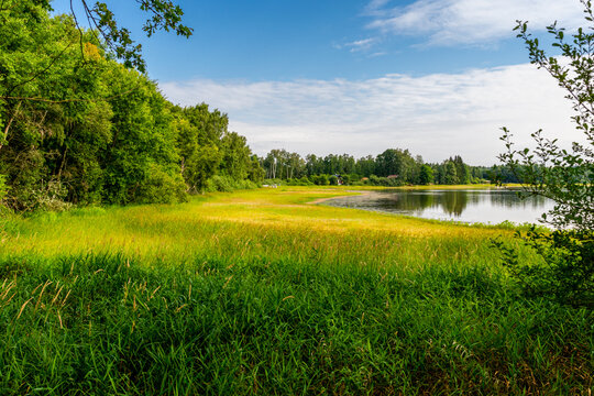 Plothen, the hidden gem tucked away in Thuringia, is not just a village, it's a splashy wonderland known as the "Land of a Thousand Ponds"! 