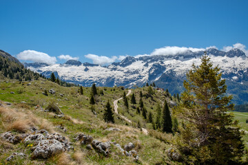 Fototapeta premium Spring day in the majestic Julian Alps, Friuli-Venezia Giulia, Italy