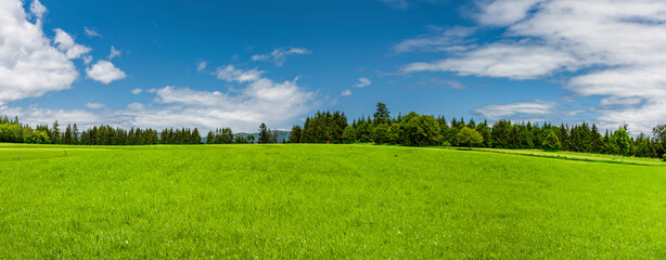 Landschaft mit Grüner Wiese im Bayerischen Wald © by-studio