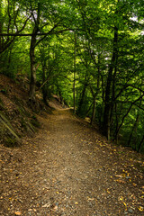 The Thuringian landscape is like a painting that would make even Bob Ross jealous – with more greenery than in a salad buffet