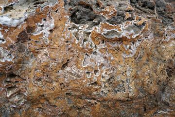 Texture of coral limestone rock for abstract backgruond