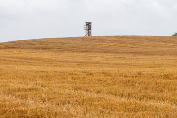 Lonley deerstand for hunters and Hunting on beautyful orange field. This capture was taken 16th of July in Harburg (Schwaben), Bavaria, Germany