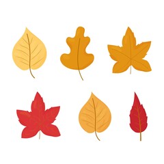 Set of Autumn, fall leaves different colours and shapes isolated on white background stock vector illustration