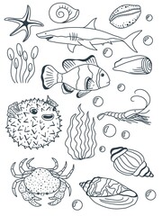 Coloring page. Coloring book. Underwater world. Fish. Shell 