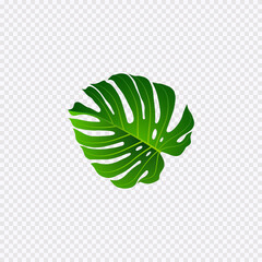 Green Leave In The Hand Isolated On Transparant Background Vector illustration.