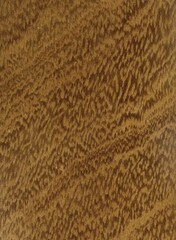 Wood tree exotic pattern asia samples natural